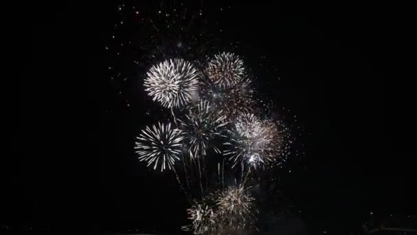 壮观的五颜六色的烟花在黑暗背景在芭堤雅国际烟花节 2018 — 图库视频影像