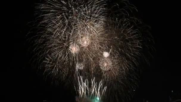 Espectacular Coloridos Fuegos Artificiales Sobre Fondo Oscuro Festival Internacional Fuegos — Vídeo de stock