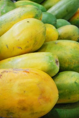Papaya 