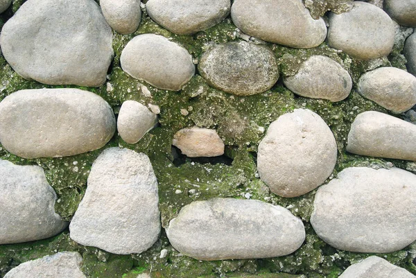 taş duvar 