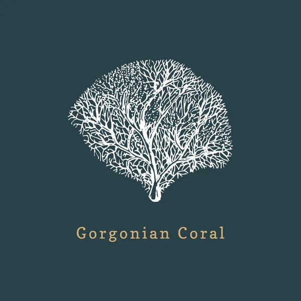 Gorgonian Coral Black Background — Stock Vector