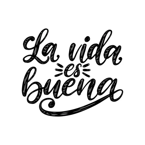 Vida Buena Traduit Spanish Life Good Phrase Manuscrite Sur Fond — Image vectorielle