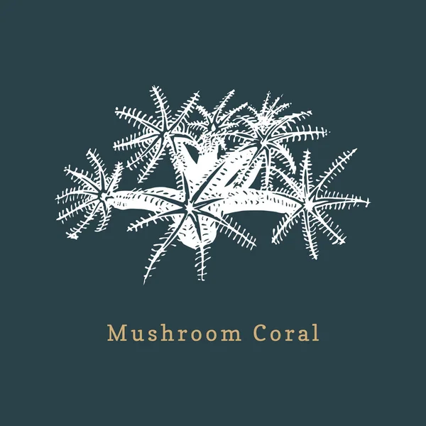 Mushroom Coral Background — Stock Vector