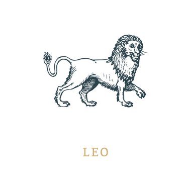 Leo zodyak sembolü, el stil oyma çekilmiş. Burcunuz aslan vektör grafik retro resmini.