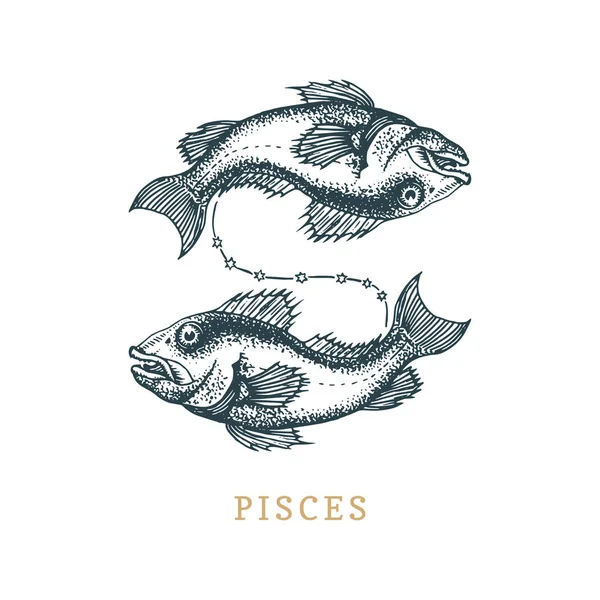Pisces zodiac symbol, hand dras i gravyr stil. Vector graphic retro illustration av stjärntecken fisk. — Stock vektor