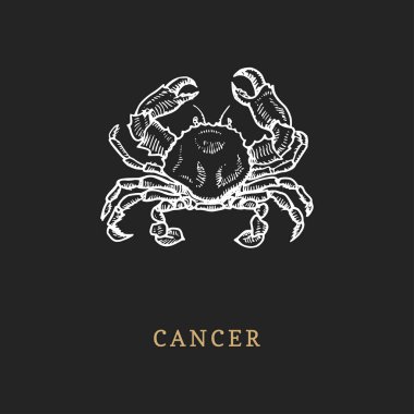 Kanser burç sembolü, elle çizilmiş stil oyma. Burcunuz Yengeç vektör grafik retro resmini.