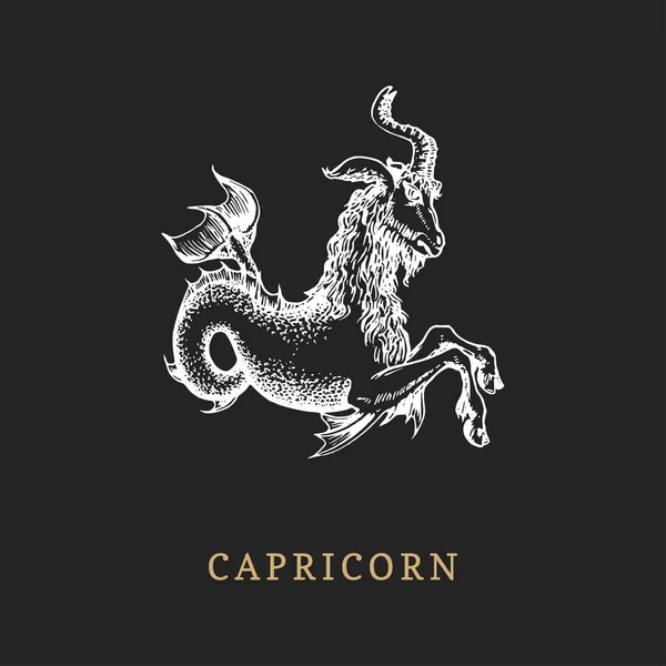 Sea goat Stock Vectors, Royalty Free Sea goat Illustrations