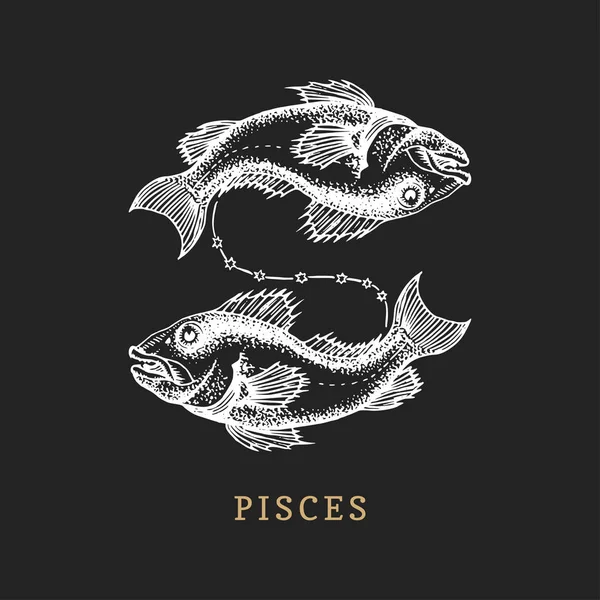 Vissen dierenriem symbool, hand getrokken in de gravure van de stijl. Vector grafische retro afbeelding van astrologische teken vissen. — Stockvector