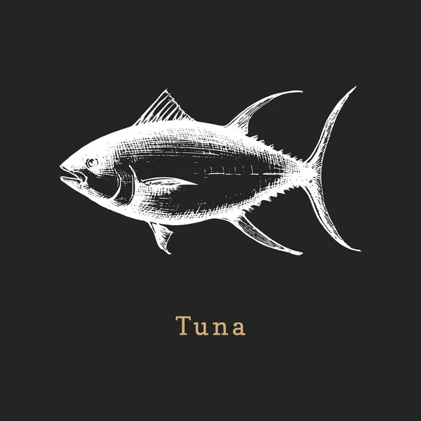 Ilustración de atún sobre fondo negro. Bosquejo de peces en vector. Mariscos dibujados en estilo de grabado para etiqueta de la tienda, etc. . — Vector de stock