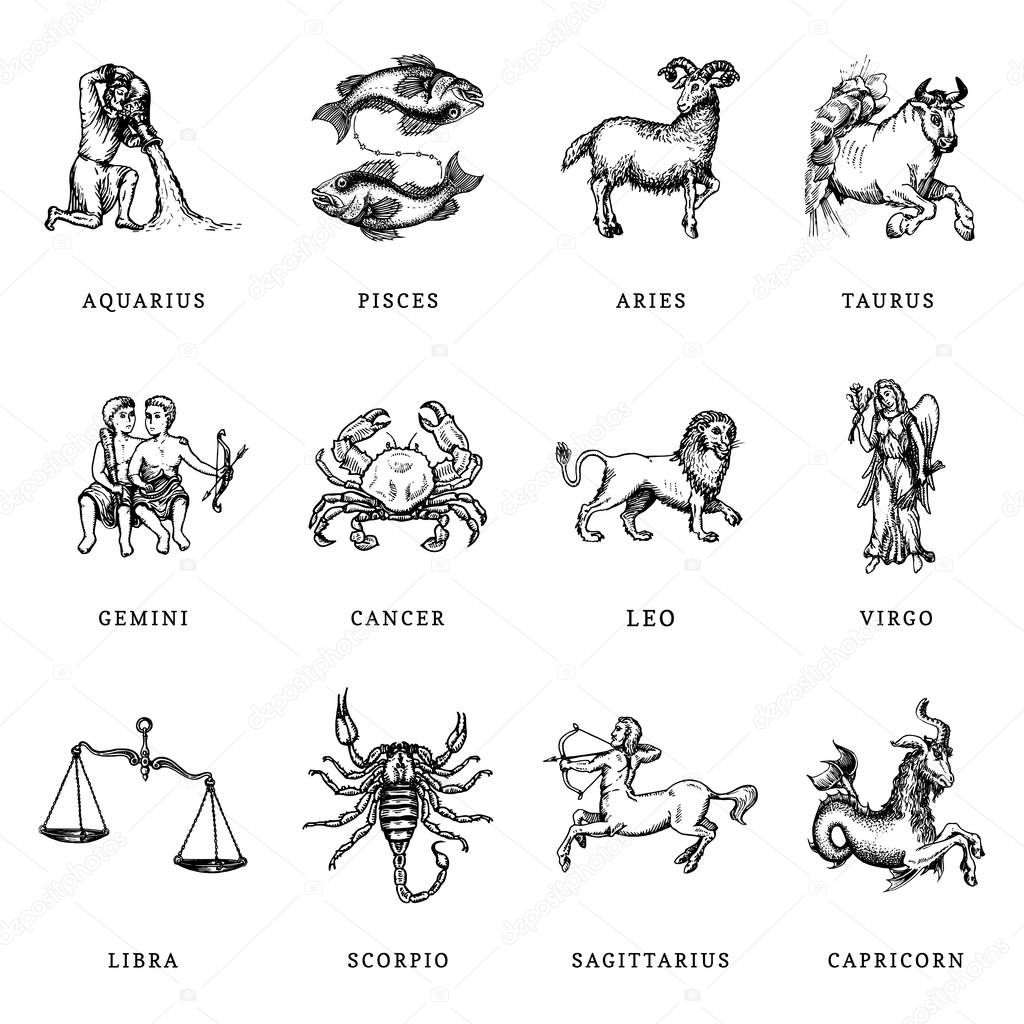 Zodiac symbols set, hand drawn in engraving style. Vector graphic retro illustration of astrological signs