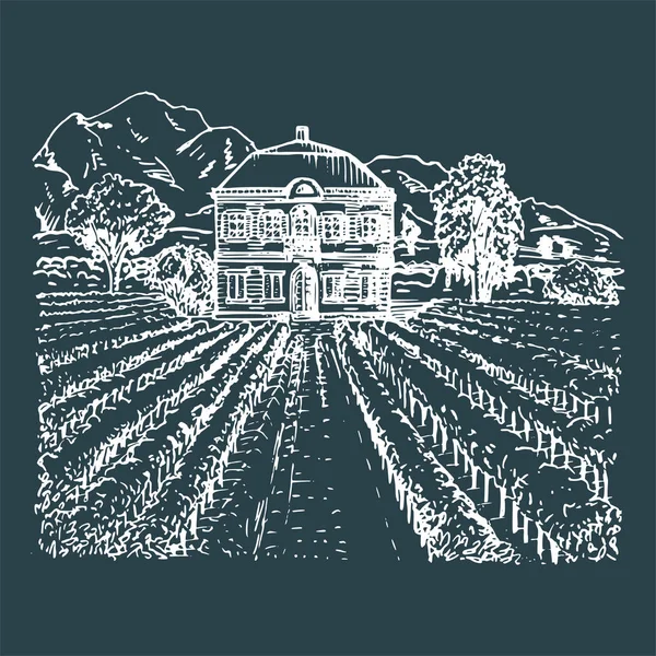 Illustration vectorielle du vignoble. Croquis à la main de la villa, ferme dans les champs et les collines. Paysage méditerranéen dessiné . — Image vectorielle