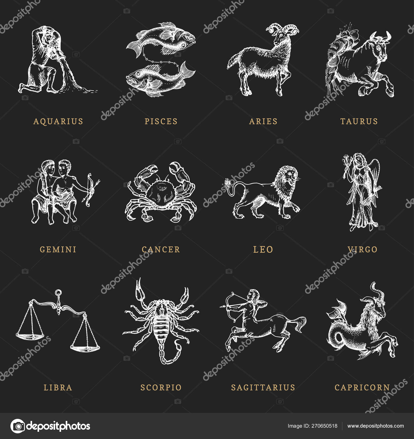 Zodiac symbols set, hand drawn in engraving style. Vector graphic retro ...