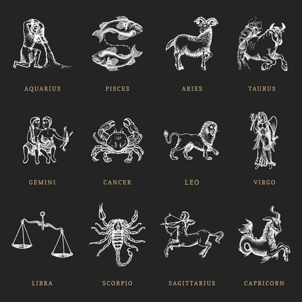 Zodiac sembolleri dizilmiş, elle oyma şeklinde çizilmiş. Astrolojik işaretlerin vektör grafik yansıması. — Stok Vektör