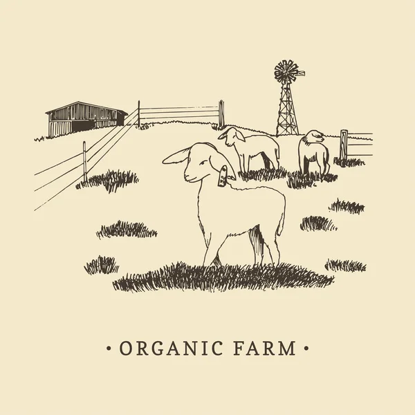 Ilustración de vectores agrícolas orgánicos. Dibujo bosquejado del paisaje rural para el logotipo de la granja, signo de comida ecológica, etiqueta engomada vintage . — Vector de stock