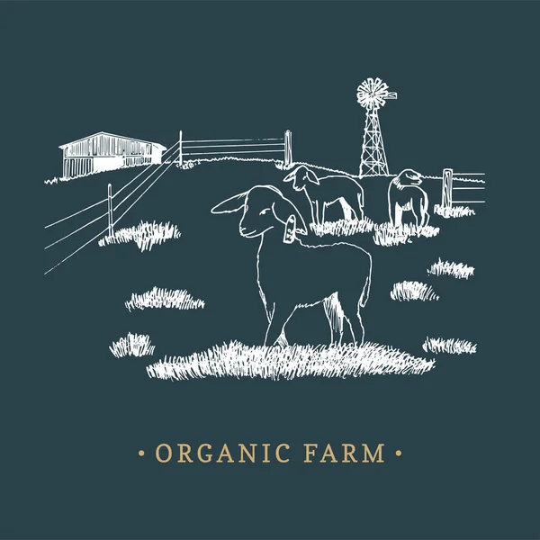 Illustration des ökologischen Landwirtschaftsvektors. Skizzierte Zeichnung ländlicher Landschaft für Bauernhof-Logo, Öko-Lebensmittelschild, Vintage-Aufkleber. — Stockvektor
