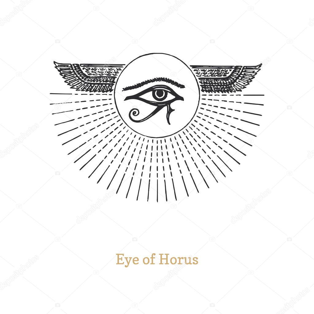 Eye of Horus, vector drawing in engraving style.
