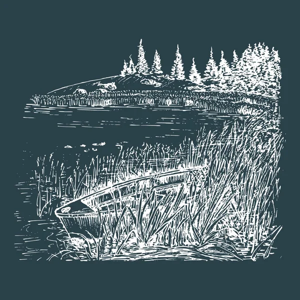 森の湖の景色の手描きイラスト. — ストックベクタ