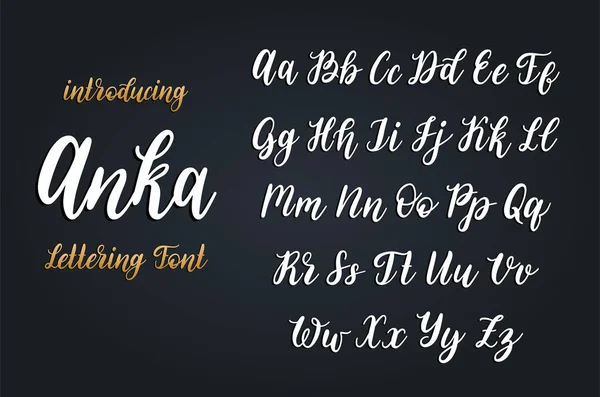 Calligraphic font in vector. Hand written alphabet — Stock Vector