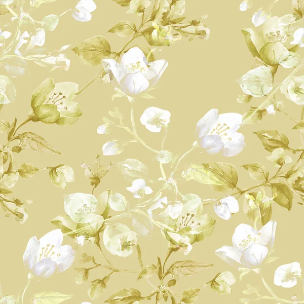 シームレス パターン ジャスミン 白および着色された背景のイラスト — ストック写真