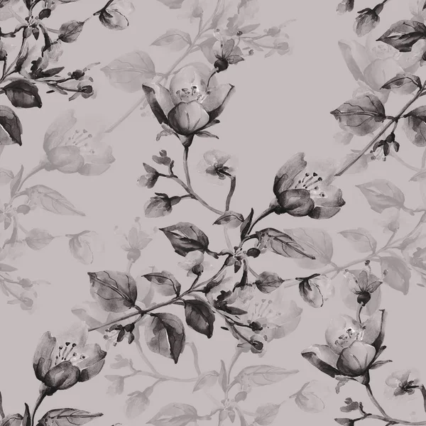 Seamless Pattern Jasmines Illustration White Colored Background — Stock Photo, Image