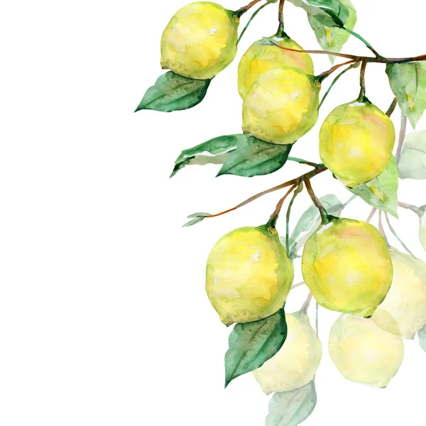 Citron Vzor Bílém Pozadí — Stock fotografie