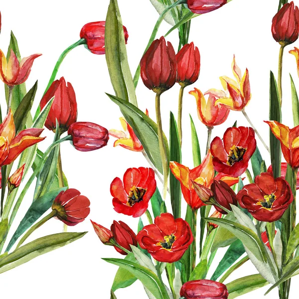 Seamless Pattern Yellow Red Tulips — Stock Photo, Image