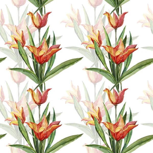 Patrón Sin Costuras Tulipanes Amarillo Rojos —  Fotos de Stock