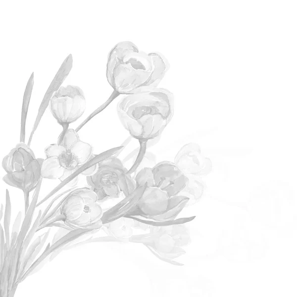 Minta Tavaszi Virágok — Stock Fotó