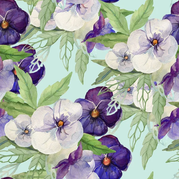 Pansies λουλούδι — Φωτογραφία Αρχείου