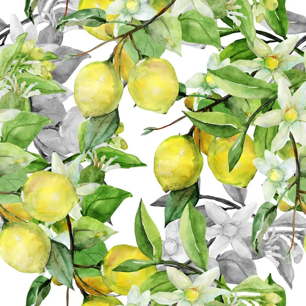 Seamless Pattern Lemon White Color Background — Stock Photo, Image