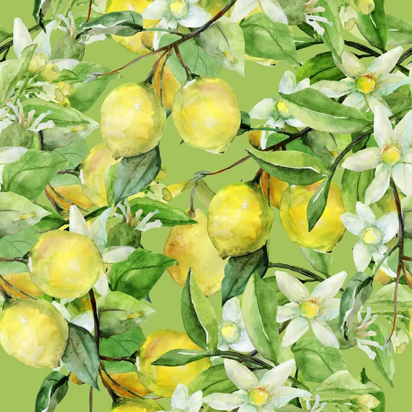 Seamless Pattern Lemon White Color Background — Stock Photo, Image