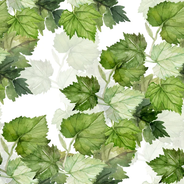 ブドウの葉シームレスパターン — ストック写真