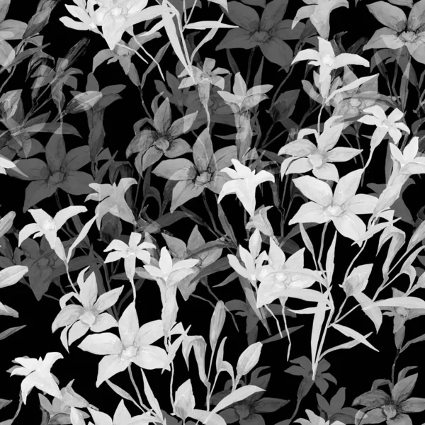 꽃다발의 꽃없는 그림입니다 흰색과 색배경에 원활한 — 스톡 사진