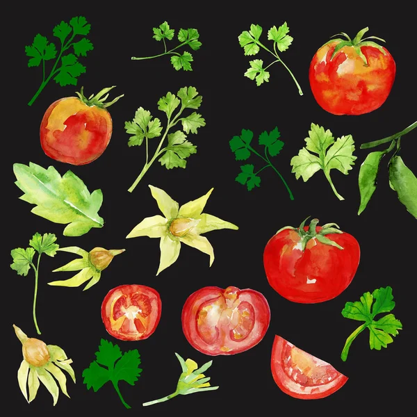 Padrão Salsa Tomates Fundo Branco Preto — Fotografia de Stock