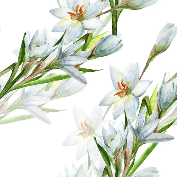 Bouquet Fiori Acquerello Bianchi Modello Senza Soluzione Continuità Sfondo Bianco — Foto Stock