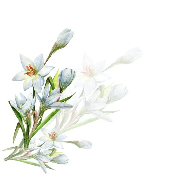 Bouquet White Watercolor Flowers Pattern White Colored Background — Stock Photo, Image