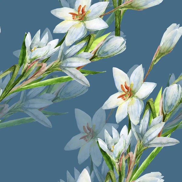 Boeket Van Witte Aquarel Bloemen Naadloos Patroon Witte Gekleurde Achtergrond — Stockfoto
