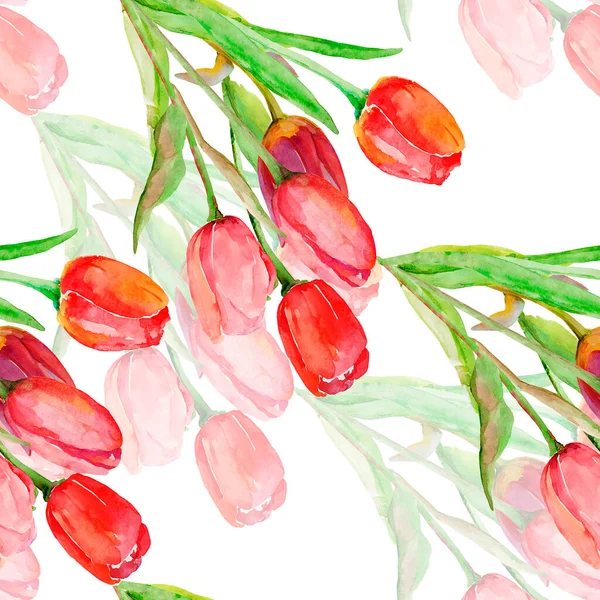 Bukiet Tulipanów Płynny Wzór Obraz Białym Kolorowym Tle — Zdjęcie stockowe