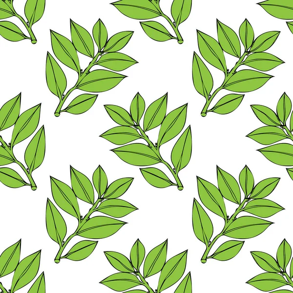 Gráfico Sem Costura Padrão Laurel Branches Picture Fundo Branco —  Vetores de Stock