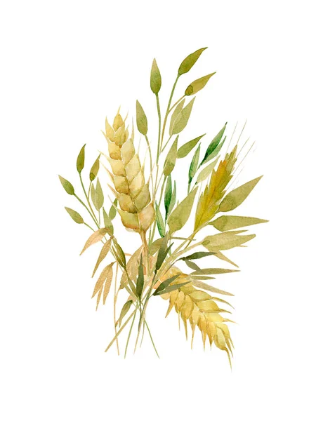 Акварельные Колосья Пшеницы Узор Образ Колосьев Пшеницы Белом Цветном Фоне — стоковое фото