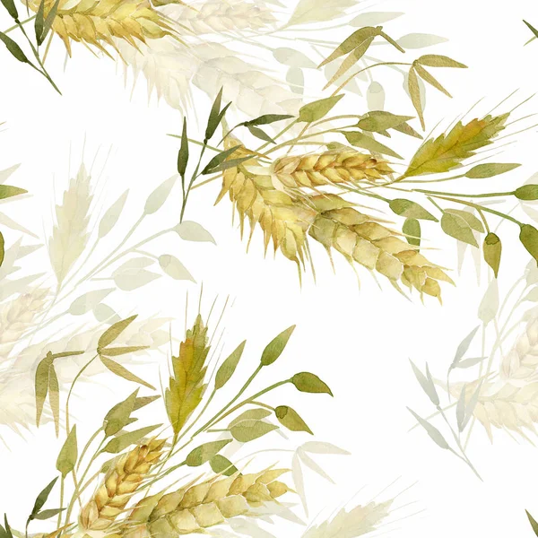 Suluboya Buğday Kulakları Pürüzsüz Desen Beyaz Renkli Arka Planda Buğday — Stok fotoğraf