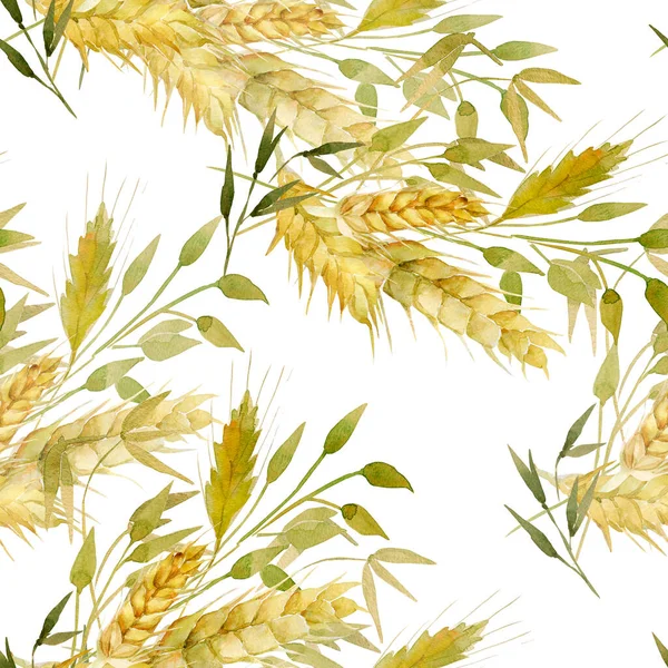 Aquarell Weizenähren Nahtloses Muster Bild Von Weizenähren Auf Weißem Und — Stockfoto