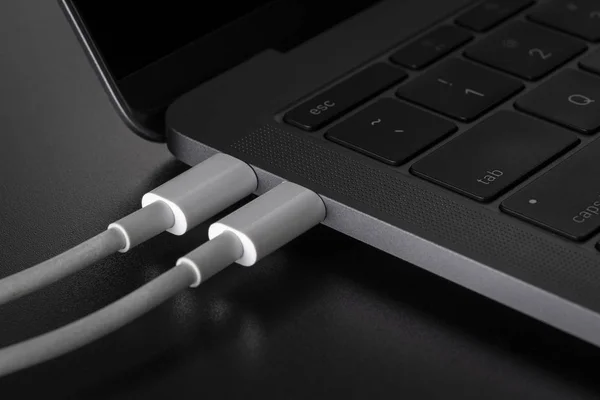 İki beyaz Usb tip C kablosu siyah arka plan üstünde laptop bağlı