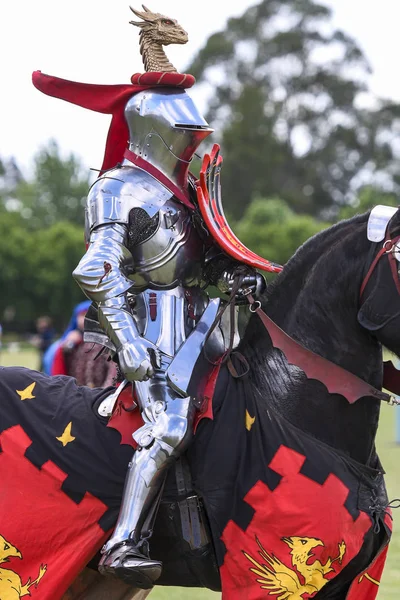 Caballero Durante Recreación Del Torneo Medieval Justas — Foto de Stock