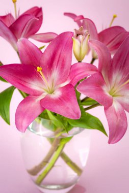 Bir cam kavanoz, karanfil çiçek pembe lily çiçek