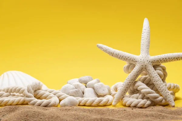 Summer time concept with starfish, shell, stones and rope on a plain yellow background and sand