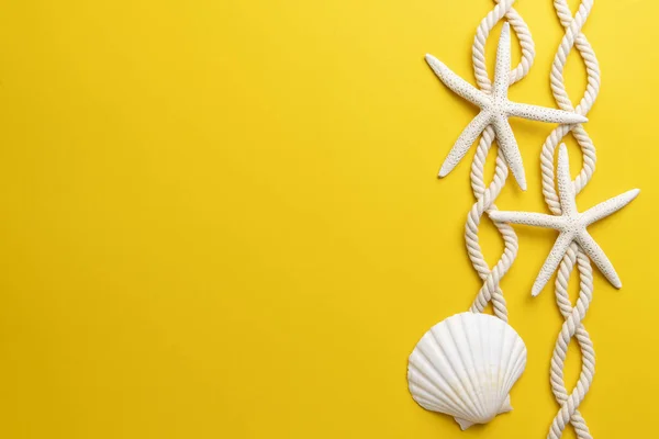 Summer time concept with starfish, shell and rope on a plain yellow background