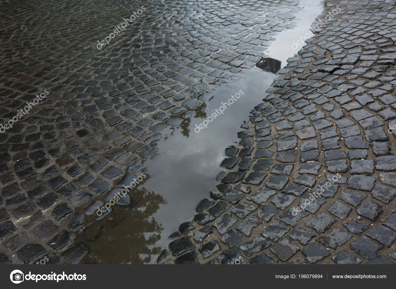Wet Aged Paving Stones Rain Puddle Water Lviv Ukraine — Stock Photo