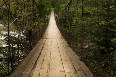 Asma köprü Nehri Karpat Dağları'nda