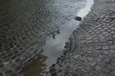 Islak kaldırım taşları ile su birikintisi yağmurdan sonra yaşlı. Lviv, Ukrayna